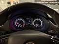 Skoda Octavia 2.0 TDI ALLRAD DSG *TOP AUSSTATTUNG Grau - thumbnail 20
