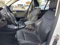 BMW X3 xDrive 20 d xLine 2.0 Diesel  HuD AHK Standh. Blanc - thumbnail 7