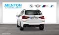 BMW X3 xDrive30e LCProf./HuD/AHK/ad.LED/PDC/Harman Blanco - thumbnail 6