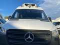 Mercedes-Benz Sprinter 314 2.1 cdi F 37/35 rwd E6 FRIGO +iva Wit - thumbnail 23