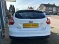 Ford Focus 1.6 EcoBoost Titanium / CLIMAT / CRUISE / 180 PK Weiß - thumbnail 5
