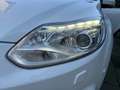 Ford Focus 1.6 EcoBoost Titanium / CLIMAT / CRUISE / 180 PK Weiß - thumbnail 9