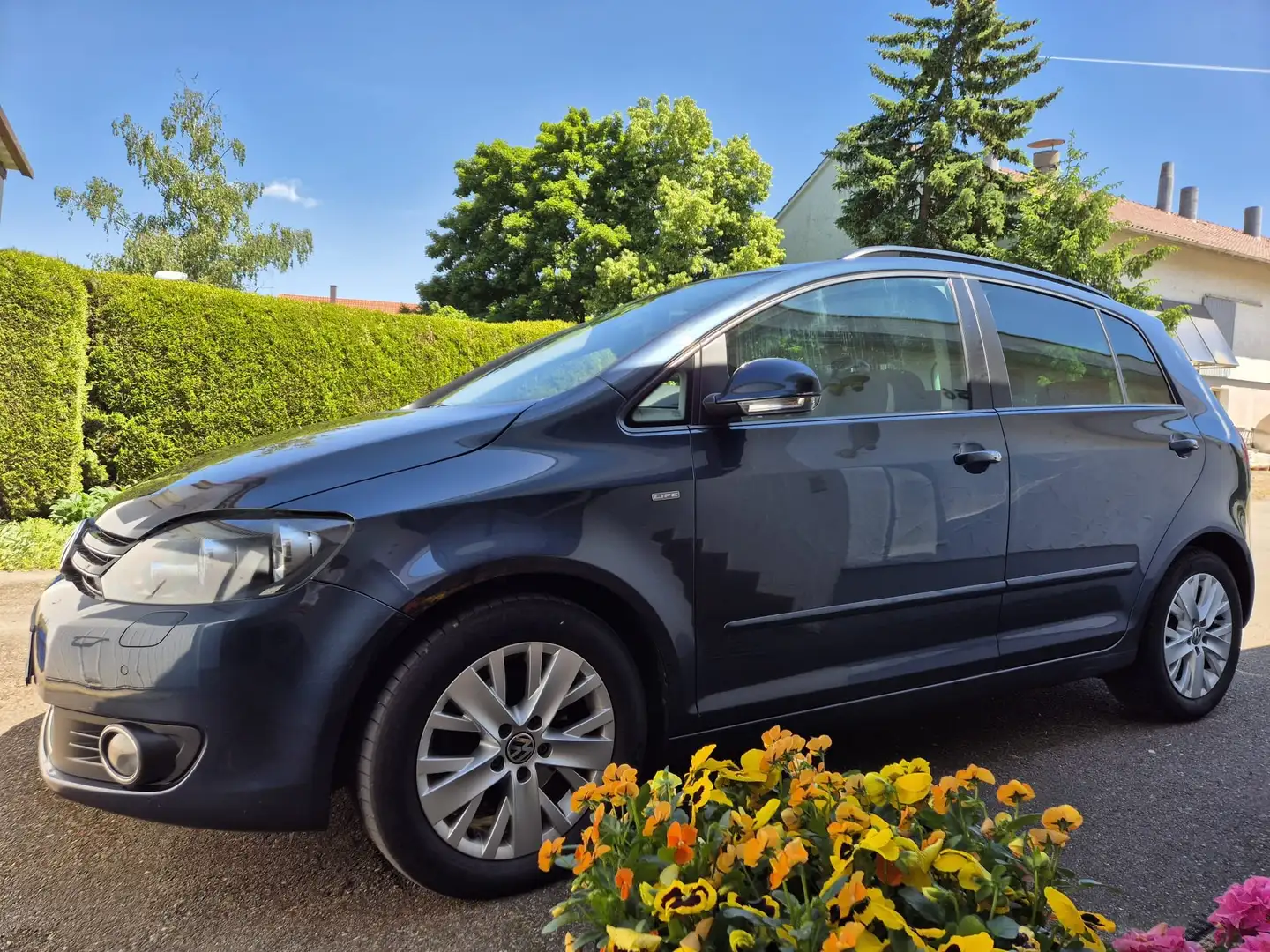 Volkswagen Golf Plus Golf Plus 1.6 TDI DPF Life Bleu - 2