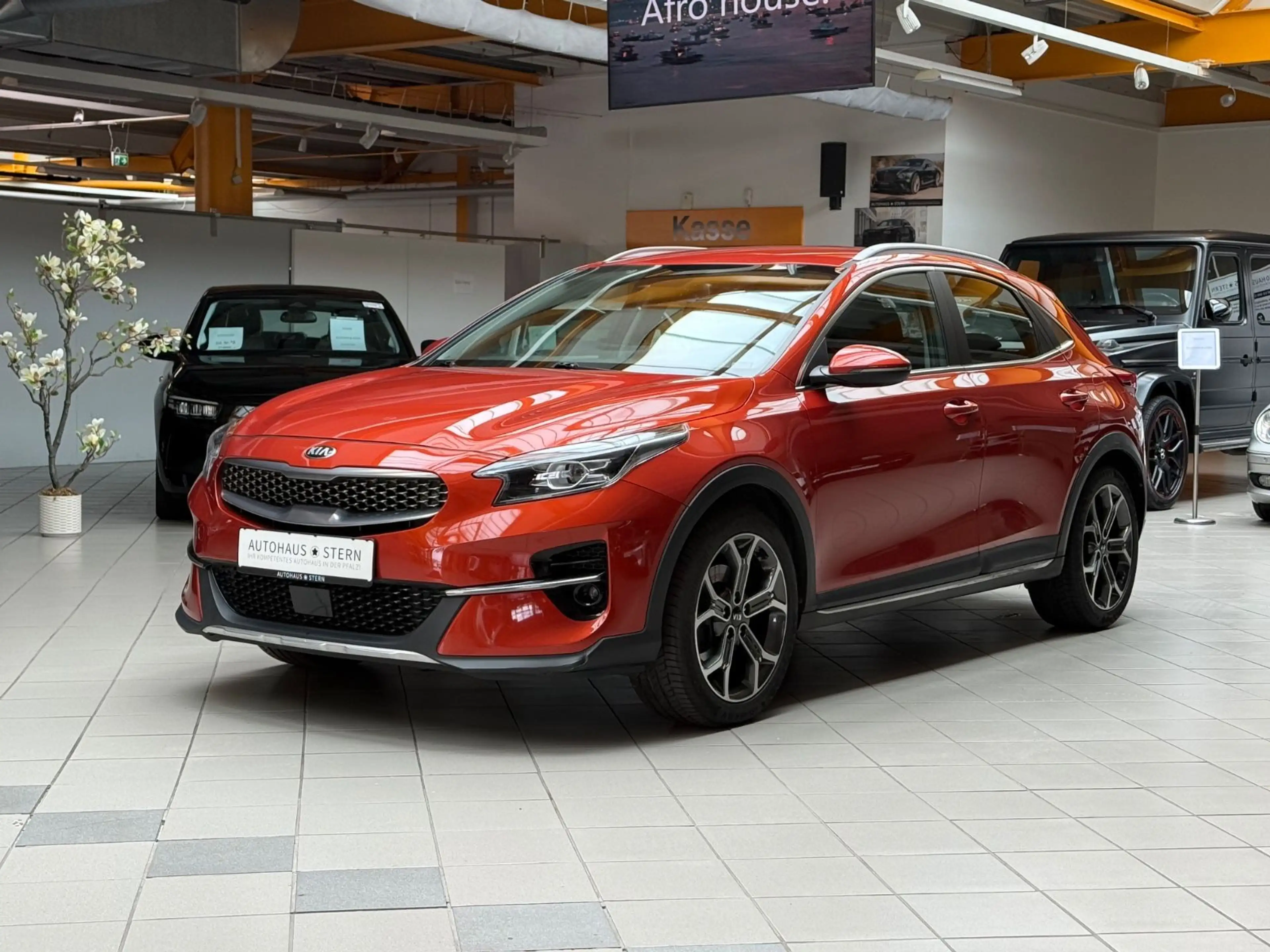 Kia XCeed Spirit|LED|JBL|CAR PLAY|SHZ|KAMERA — photo 2