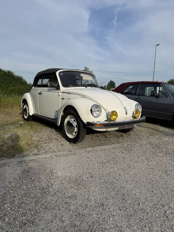 Volkswagen Maggiolino, foto 2