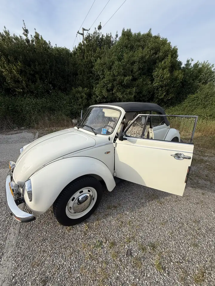 Volkswagen Maggiolino, foto 5