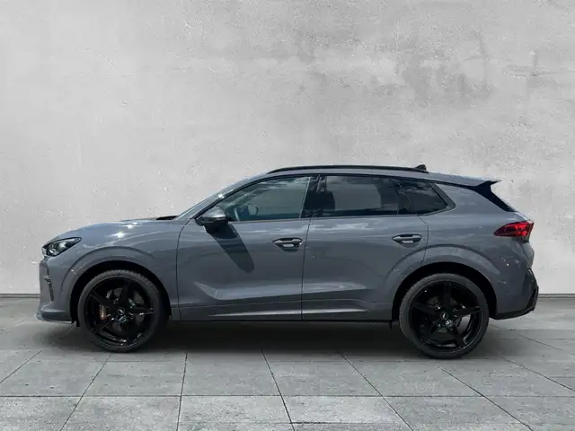 Cupra Terramar view 2