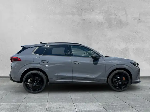 Cupra Terramar view 6