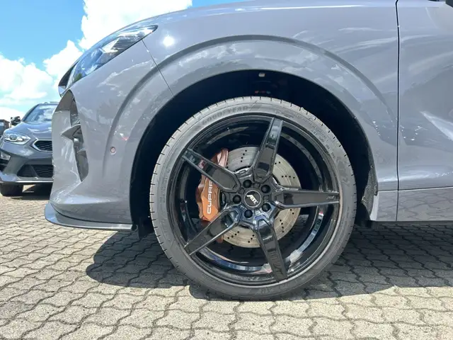 Cupra Terramar view 13