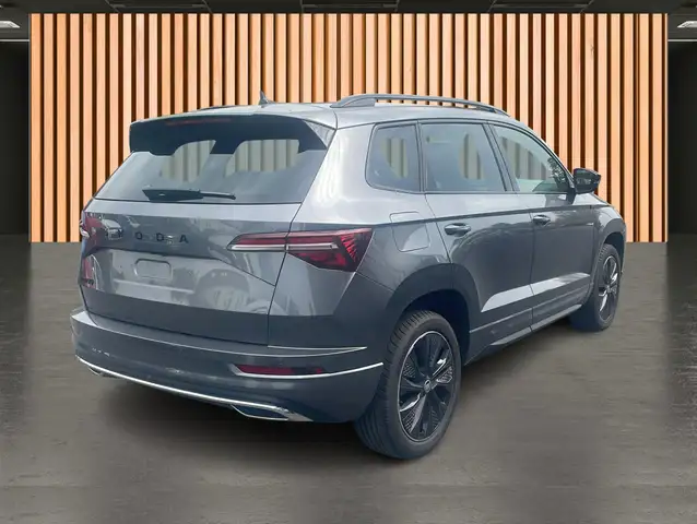 Skoda Karoq view 5