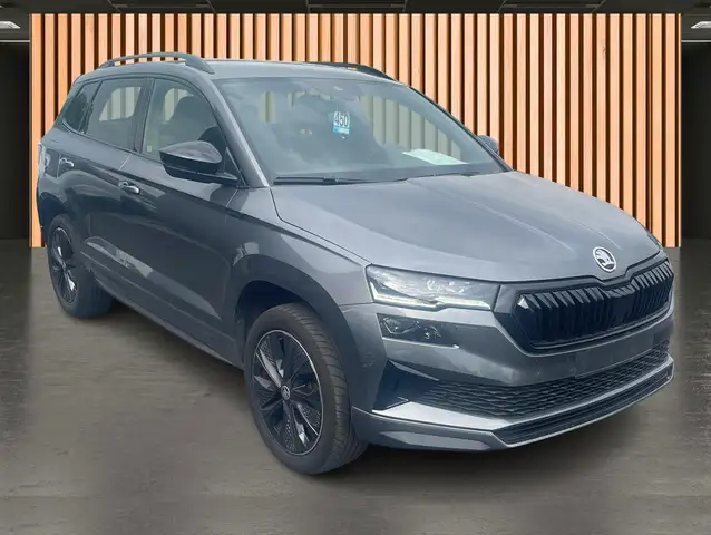 Skoda Karoq view 6