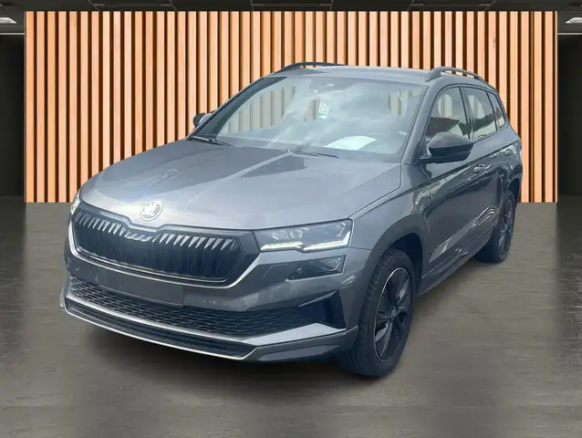 Skoda Karoq view 2