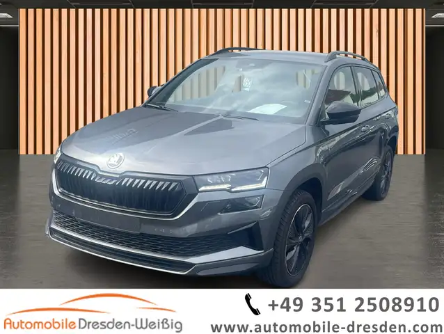 Skoda Karoq main image