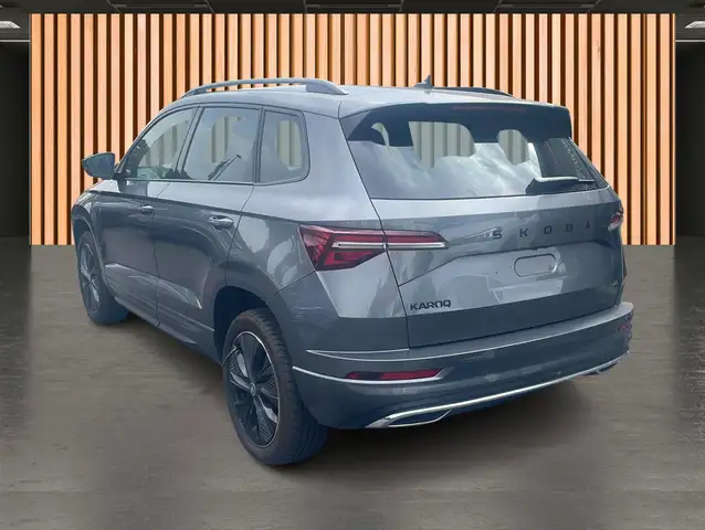 Skoda Karoq view 4