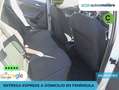 Volkswagen Polo Advance+1.0+TSI+70+kW+%2895+CV%29 Blanco - thumbnail 6
