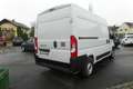 Fiat Ducato Ducato 30 L2H2 BlueHDi 120 S&S Weiß - thumbnail 4