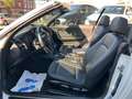BMW 120 i Cabrio*TÜV*INS*KEYLESS* Weiß - thumbnail 21