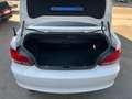 BMW 120 i Cabrio*TÜV*INS*KEYLESS* Weiß - thumbnail 11