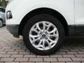 Ford EcoSport 1.5 TDCi 90Cv Titanium - OK Neopat. Wit - thumbnail 15