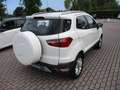 Ford EcoSport 1.5 TDCi 90Cv Titanium - OK Neopat. Wit - thumbnail 3