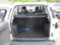 Ford EcoSport 1.5 TDCi 90Cv Titanium - OK Neopat. Wit - thumbnail 8