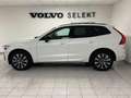 Volvo XC60 B4 (d) AWD automatico Plus Dark Bianco - thumbnail 8