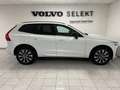 Volvo XC60 B4 (d) AWD automatico Plus Dark Bianco - thumbnail 9