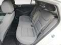 Hyundai IONIQ Ioniq 1,6 GDi Plug-In PHEV Level 5 DCT Aut. Weiß - thumbnail 9