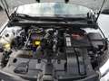 Renault Megane Limited dCi 115 Weiß - thumbnail 19