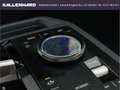 BMW iX 50 xDrive-Sportpacke-DrivingAssProf-Head-UP - Grau - thumbnail 41