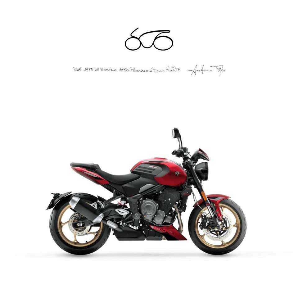 Triumph Others TRIDENT 800