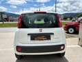 Fiat Panda 4x2 FireFly Hybrid 70 Pandina Weiß - thumbnail 8