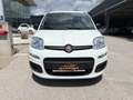 Fiat Panda 4x2 FireFly Hybrid 70 Pandina Weiß - thumbnail 3