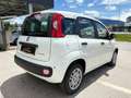 Fiat Panda 4x2 FireFly Hybrid 70 Pandina Weiß - thumbnail 6