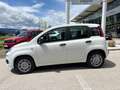 Fiat Panda 4x2 FireFly Hybrid 70 Pandina Weiß - thumbnail 10