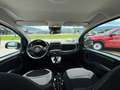 Fiat Panda 4x2 FireFly Hybrid 70 Pandina Weiß - thumbnail 13
