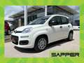 Fiat Panda 4x2 FireFly Hybrid 70 Pandina Weiß - thumbnail 1