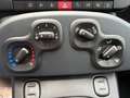 Fiat Panda 4x2 FireFly Hybrid 70 Pandina Weiß - thumbnail 17