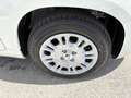 Fiat Panda 4x2 FireFly Hybrid 70 Pandina Weiß - thumbnail 5