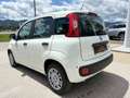 Fiat Panda 4x2 FireFly Hybrid 70 Pandina Weiß - thumbnail 7