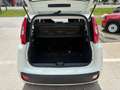 Fiat Panda 4x2 FireFly Hybrid 70 Pandina Weiß - thumbnail 9