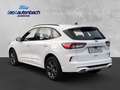 Ford Kuga Plug-In Hybrid ST-Line Blanc - thumbnail 3