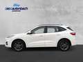 Ford Kuga Plug-In Hybrid ST-Line Blanc - thumbnail 2