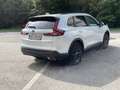Honda CR-V 2,0 i-MMD Hybrid Advance AWD Aut. Weiß - thumbnail 3