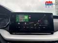 Skoda Octavia Combi 2.0 TDI DPF Tour AHK-klappbar Navi Digitales Blau - thumbnail 18