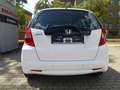Honda Jazz 1,4i Comfort Klimaautomatik Weiß - thumbnail 3