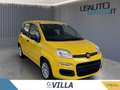 Fiat Panda 1.0 70cv Hybrid Giallo - thumbnail 2