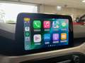 Ford Focus 1.0 EcoBoost Trend Edition Business Airco | Carpla Grigio - thumbnail 24