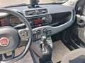 Fiat Panda 1.0 hybrid City Cross s&s 70cv Gris - thumbnail 9