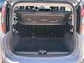 Fiat Panda 1.0 hybrid City Cross s&s 70cv Gris - thumbnail 14